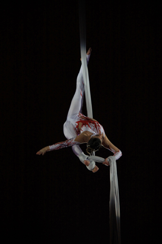 Aerial Silk Act 687/ International Talent Agency 